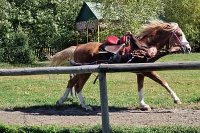 Almaty: Kasachisches Dorf Huns und Ak-Bulak Resort Tagesausflug