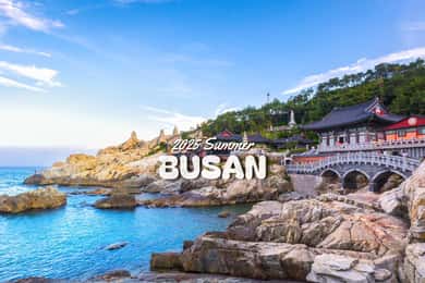 부산시 : 최고 명소 원데이 가이드 투어