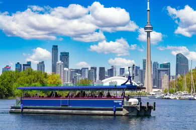 Toronto: Harbor and Islands Sightseeing Cruise