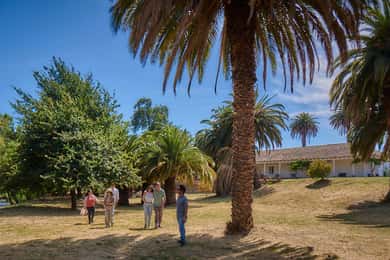 Vale de Colchahua: Excursão Icónica, Viña Maquis
