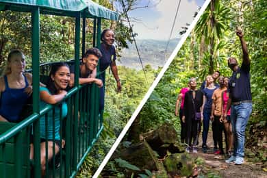Saint Lucia: Aerial Tram Tour at Rainforest Adventures
