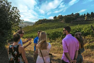 Siena: Organic Winery Tour and Wine Tasting