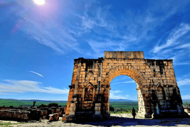 Fra Fes: Dagsudflugt til Meknes Volubilis og Moulay Idriss