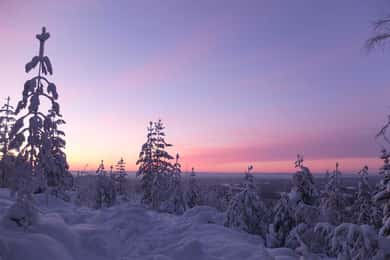 Luleå: snöskovandring i orörd natur med en expertguide!