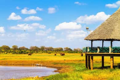 From Mombasa/Diani/Mtwapa: Tsavo East National Park Day Tour