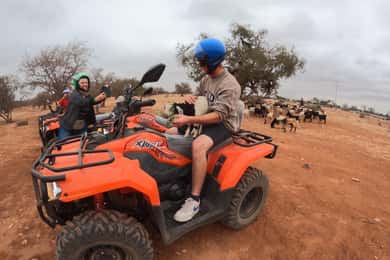 Agadir : Le désert d'Agafay en quad avec des chèvres dans les arbres
