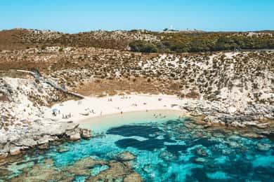 Perth: Rottnest Island Flight Transfer with Return Ferry
