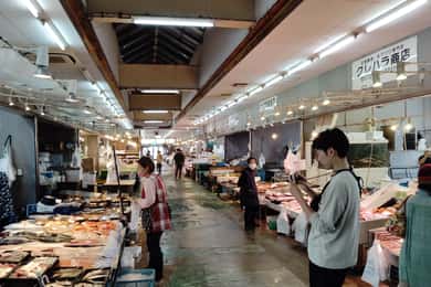 Vicino a KIX: Tour del mercato della pesca con la guida locale