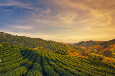 From Chiang Mai: Customize Your Northern Thailand Itinerary