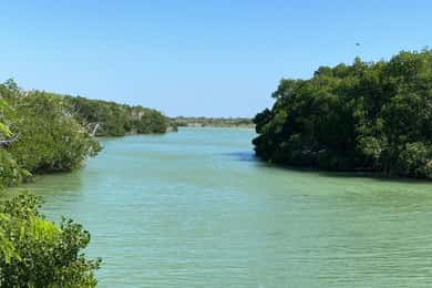 Río Lagartos y Las Coloradas: experiencia natural