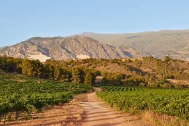 Salou: Siurana Castle and Cornudella Winery Tour