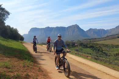 Stellenbosch: Stellenbosch E-Bike & Wine Tour (Shared Tour)