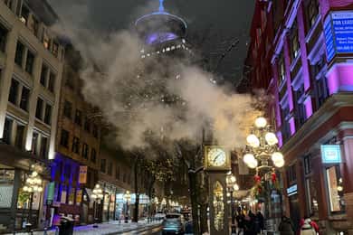 Vancouver Tour/Car/Grandville Island/Queen Elizabeth/China T