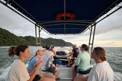 From Playa Pochote: Tortuga Island Private Tour