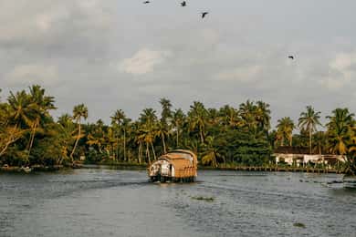 Kerala: Munnar, Thekkady, Alappuzha e Trivandrum Escursione di 5 giorni
