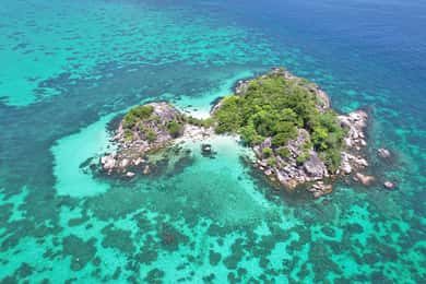 Día completo de snorkel en 5 puntos de Koh Lipe (Zona Este) con almuerzo