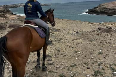 3 hours Horse Riding Tour to the Coast