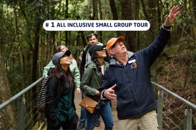 Blue Mountains: Scenic World, Ferry, Zoo & Koala Photo