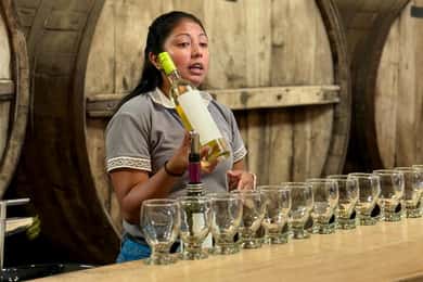 Cafayate: Excursão de dia inteiro pelas adegas e degustação de vinhos
