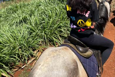 Nairobi: Horseback Riding Tour Through Maize Plantation