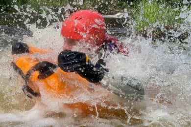 Llangollen: White Water River Bugs