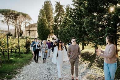 Organic and Biodynamic Winery Tour and Tasting in Lucca