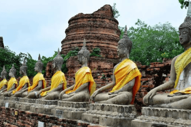 From Bangkok: Ayutthaya Tour, Elephant Palace & Royal Kraal
