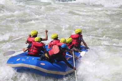 From Livingstone & Victoria Falls: Zambezi Half-Day Rafting