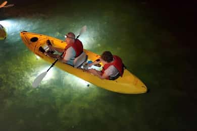 Spiaggia di Clearwater: Tour serale in kayak con fondo di vetro e LED