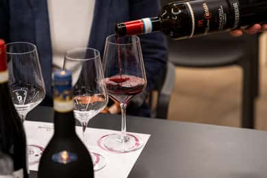Valpolicella Wine Museum: E-bike rental with App and Tasting