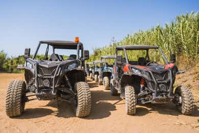 Private Korcula Buggy Safari With Wine Tasting