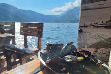 3時間 コトル湾クルーズ：ペラスト、岩礁、ムール貝養殖場訪問