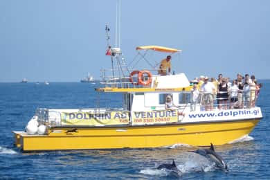 Gibraltar: Excursão de observação de golfinhos