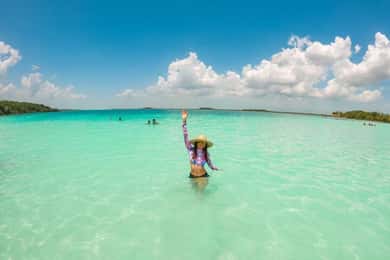 Sisal Kayak Through Mangroves and Bird Watching Tour