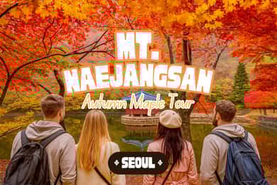 Seul: Excursão de um dia para ver as folhas de outono no Parque Nacional Naejangsan