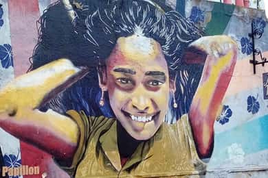 Valparaiso : Art de la rue, funiculaires et visite de la ville portuaire
