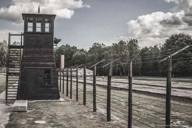 Stutthof Concentration Camp Half-Day Private Tour