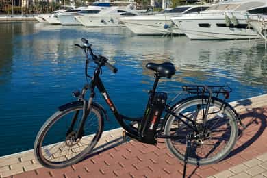 Byomvisning i Alicante på elsykkel