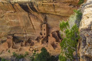 Mancos: Mesa Verde National Park Half-Day Tour