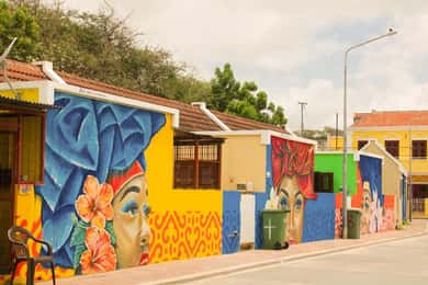 Willemstad: Wandeltour met gids met lokale gids