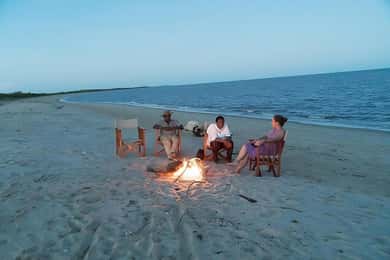 Tanzania: Saadani National Park Safari and Beach Day Trip