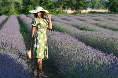 BOLGHERI: professional PHOTO service on the cypress-lined avenue, vineyard, and village