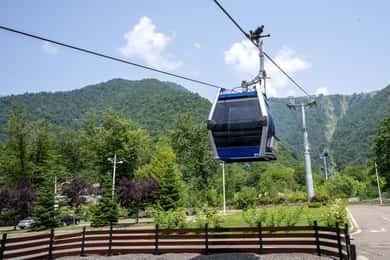 From Baku: Gabala and Shamakhi Tour