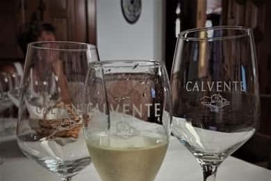 Malaga & Granada: Vinprovning och tapas med upphämtning på resort