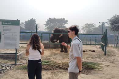 Desde Agra Excursión de un día a SOS Conservación de Elefantes y Rescate de Osos