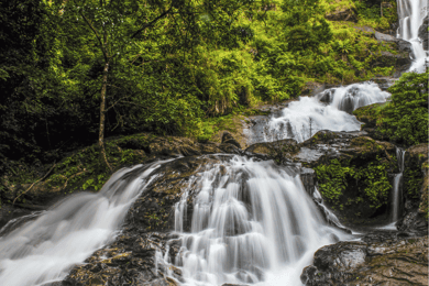 Touristic Highlights of Coorg (Guided Full Day Tour by car)
