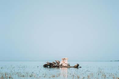 PREMIUM TOUR SMALL GROUP Bucharest-The Heart of Danube Delta