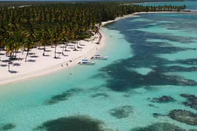 Tour particular à Ilha Saona saindo de Punta Cana ou Santo Domingo