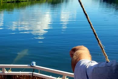 Private 2 hour Dolphin Sightseeing tour- Melbourne
