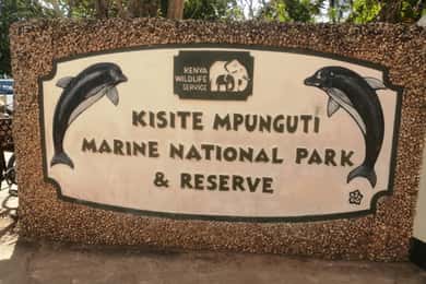 Da Kwale: Tour del Parco Nazionale Marino di Kisite Mpunguti